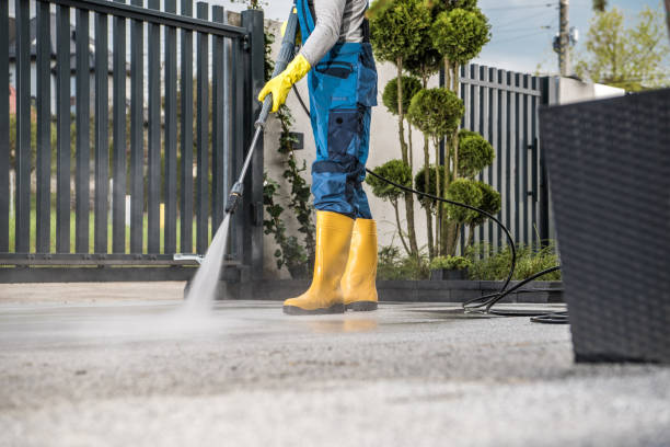 Best Dumpster Area Cleaning  in Honsville, GA